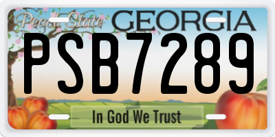 GA license plate PSB7289