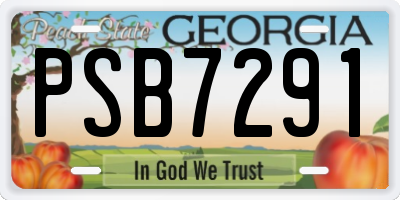 GA license plate PSB7291