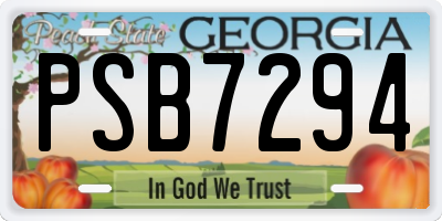 GA license plate PSB7294