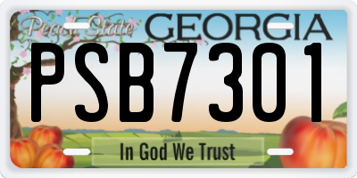 GA license plate PSB7301