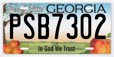 GA license plate PSB7302