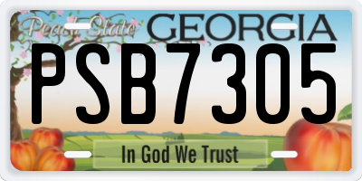 GA license plate PSB7305