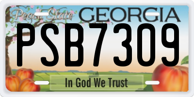 GA license plate PSB7309