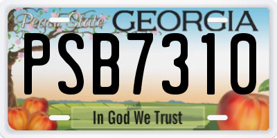 GA license plate PSB7310