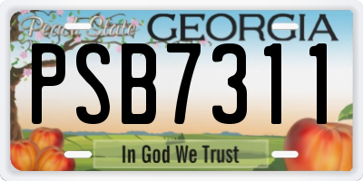 GA license plate PSB7311
