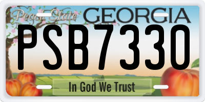 GA license plate PSB7330
