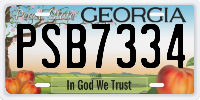 GA license plate PSB7334