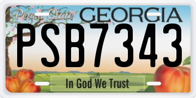 GA license plate PSB7343
