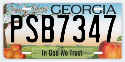 GA license plate PSB7347