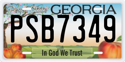 GA license plate PSB7349