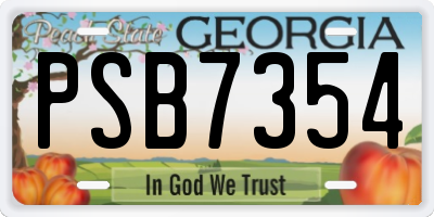 GA license plate PSB7354
