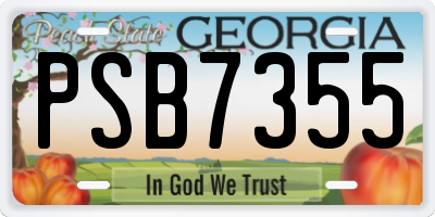 GA license plate PSB7355