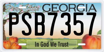 GA license plate PSB7357
