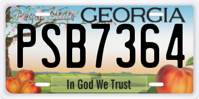 GA license plate PSB7364