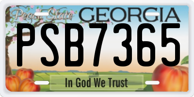 GA license plate PSB7365