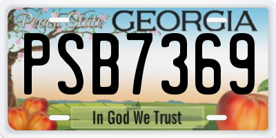 GA license plate PSB7369