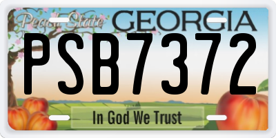 GA license plate PSB7372