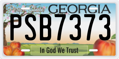 GA license plate PSB7373