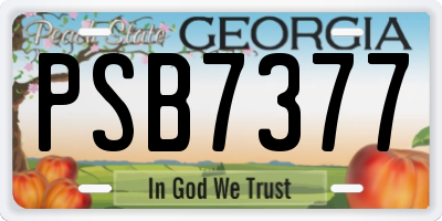 GA license plate PSB7377