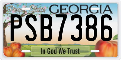 GA license plate PSB7386