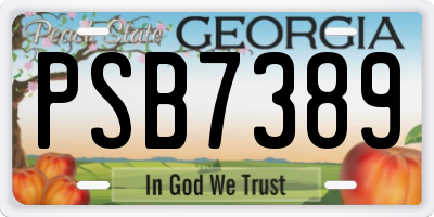 GA license plate PSB7389