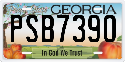 GA license plate PSB7390