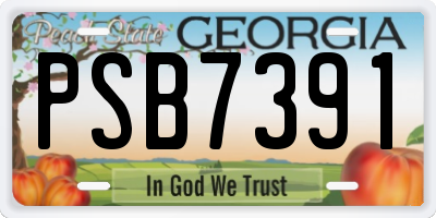 GA license plate PSB7391