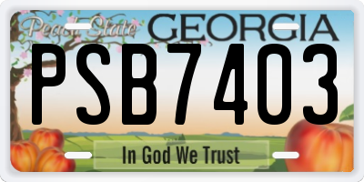 GA license plate PSB7403