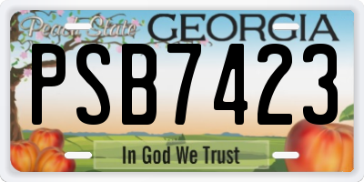 GA license plate PSB7423