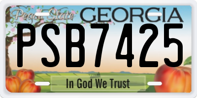 GA license plate PSB7425