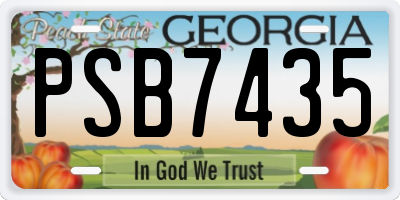 GA license plate PSB7435