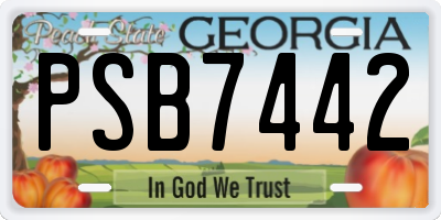 GA license plate PSB7442
