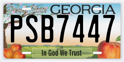 GA license plate PSB7447