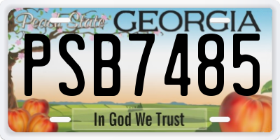 GA license plate PSB7485