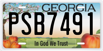 GA license plate PSB7491
