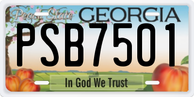 GA license plate PSB7501