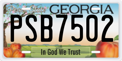 GA license plate PSB7502