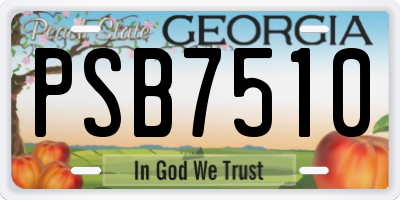 GA license plate PSB7510