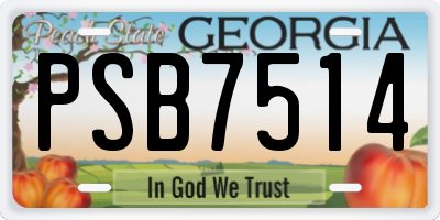GA license plate PSB7514
