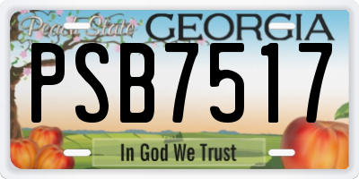 GA license plate PSB7517