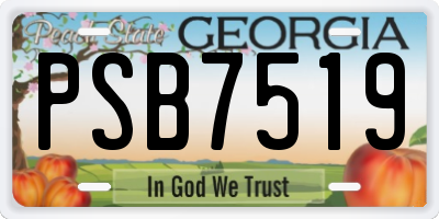 GA license plate PSB7519
