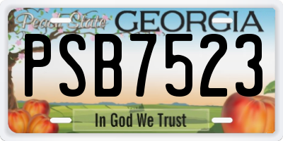 GA license plate PSB7523