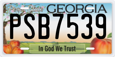 GA license plate PSB7539
