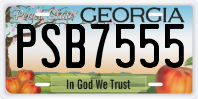 GA license plate PSB7555