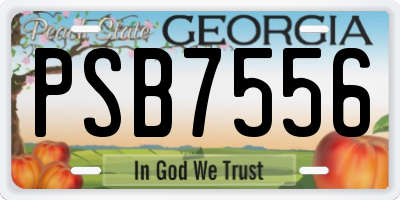 GA license plate PSB7556
