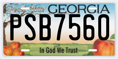 GA license plate PSB7560