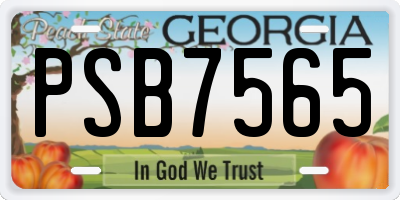 GA license plate PSB7565