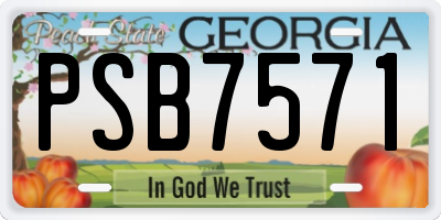 GA license plate PSB7571