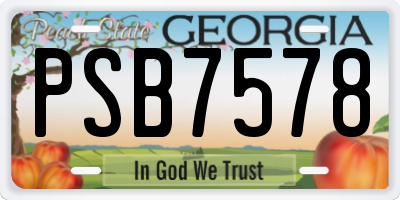 GA license plate PSB7578
