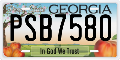 GA license plate PSB7580